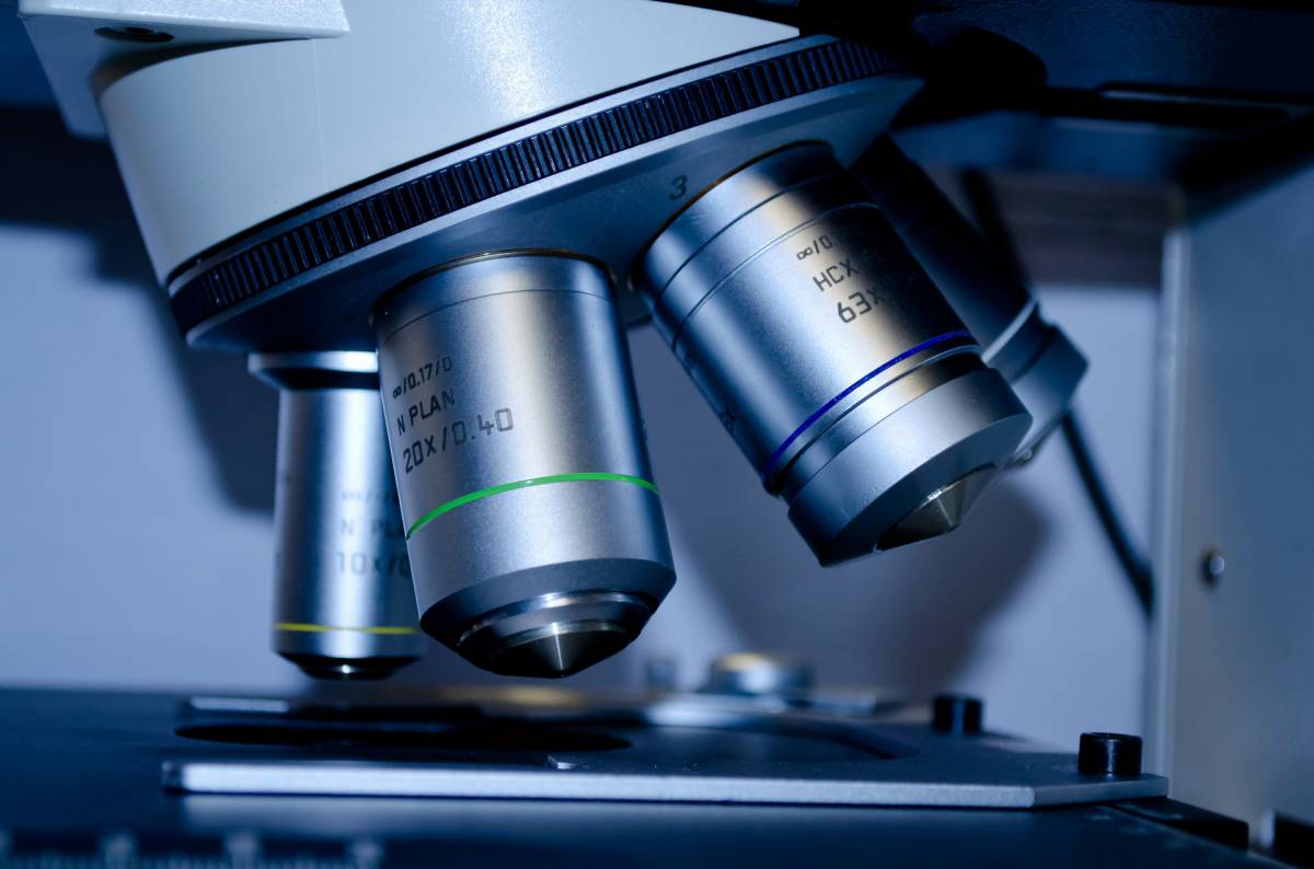 Tumore pancreas: scoperta chiave d’ingresso per l’invasione dei linfociti killer antitumore article-post