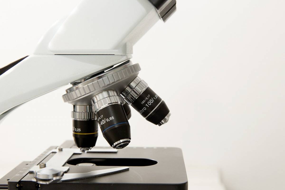 Terapia ipertermica e cancro: un nuovo studio article-post