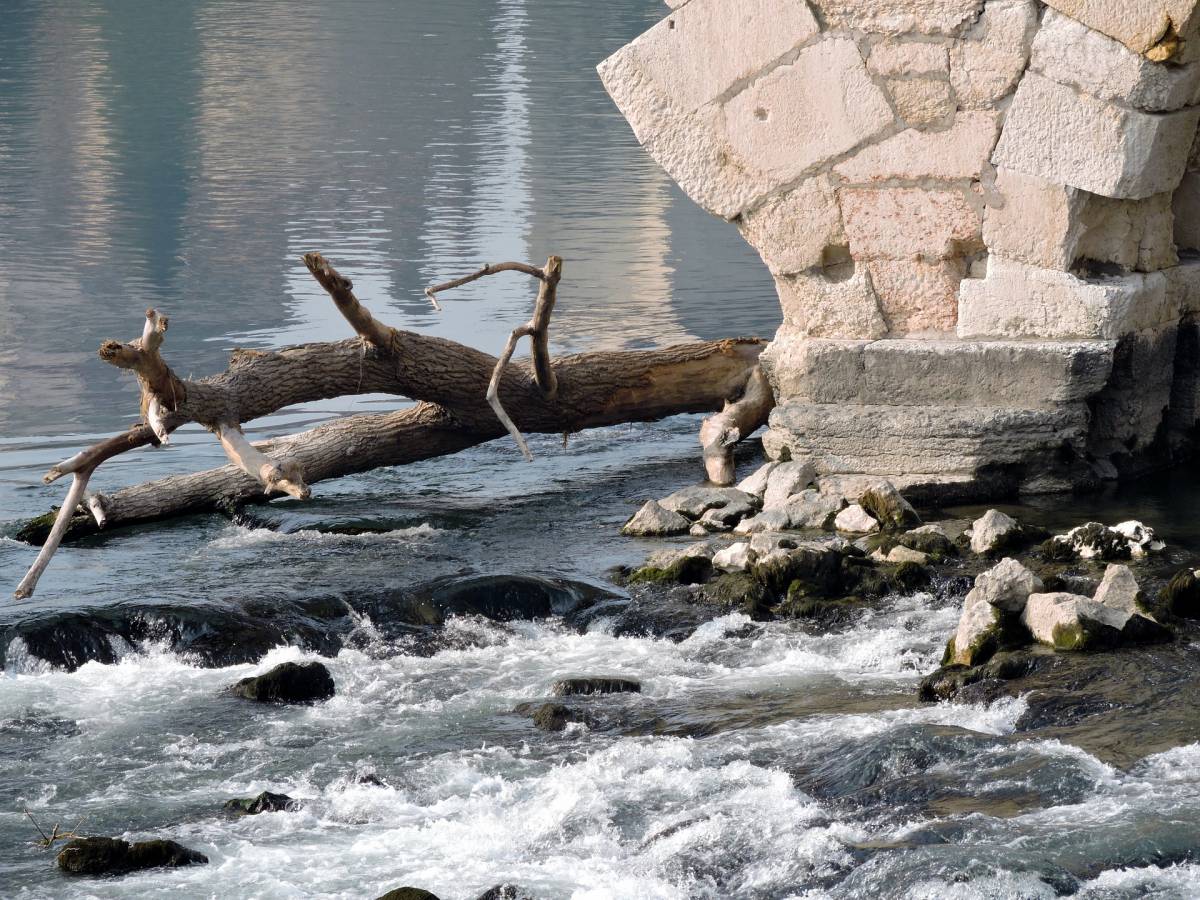 Si tuffa nel fiume e non riemerge: muore a 40 anni article-post