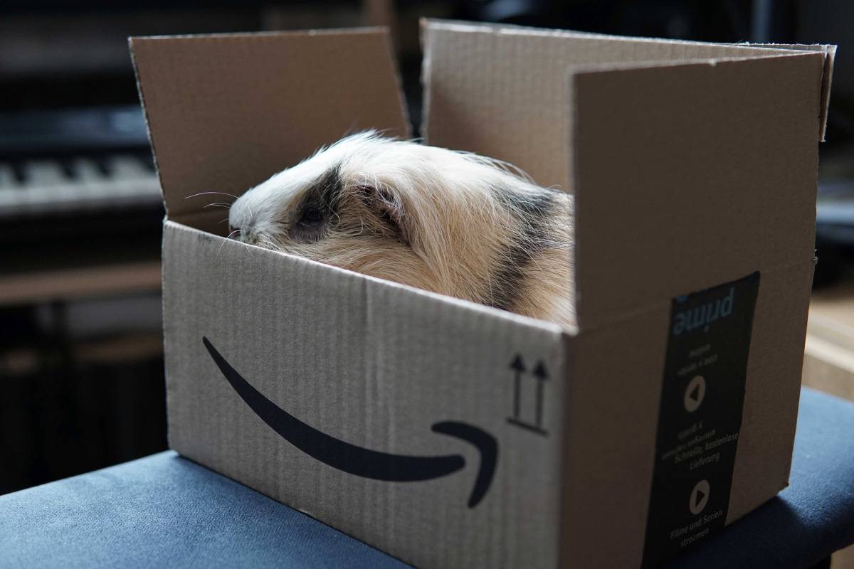 Amazon in sciopero: oggi niente pacchi article-post