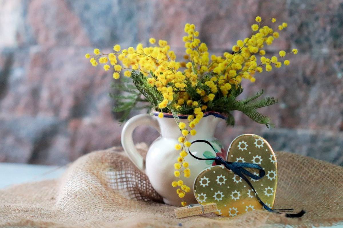 Festa della donna: origini e significato article-post