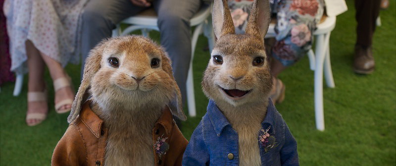 Peter Rabbit 2: Un birbante in fuga. Dal 1° Luglio al Cinema article-post