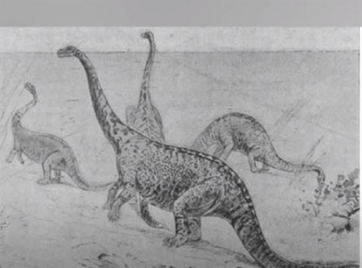 Mokele Mbembe: misteri e leggende sul Nessie africano article-post