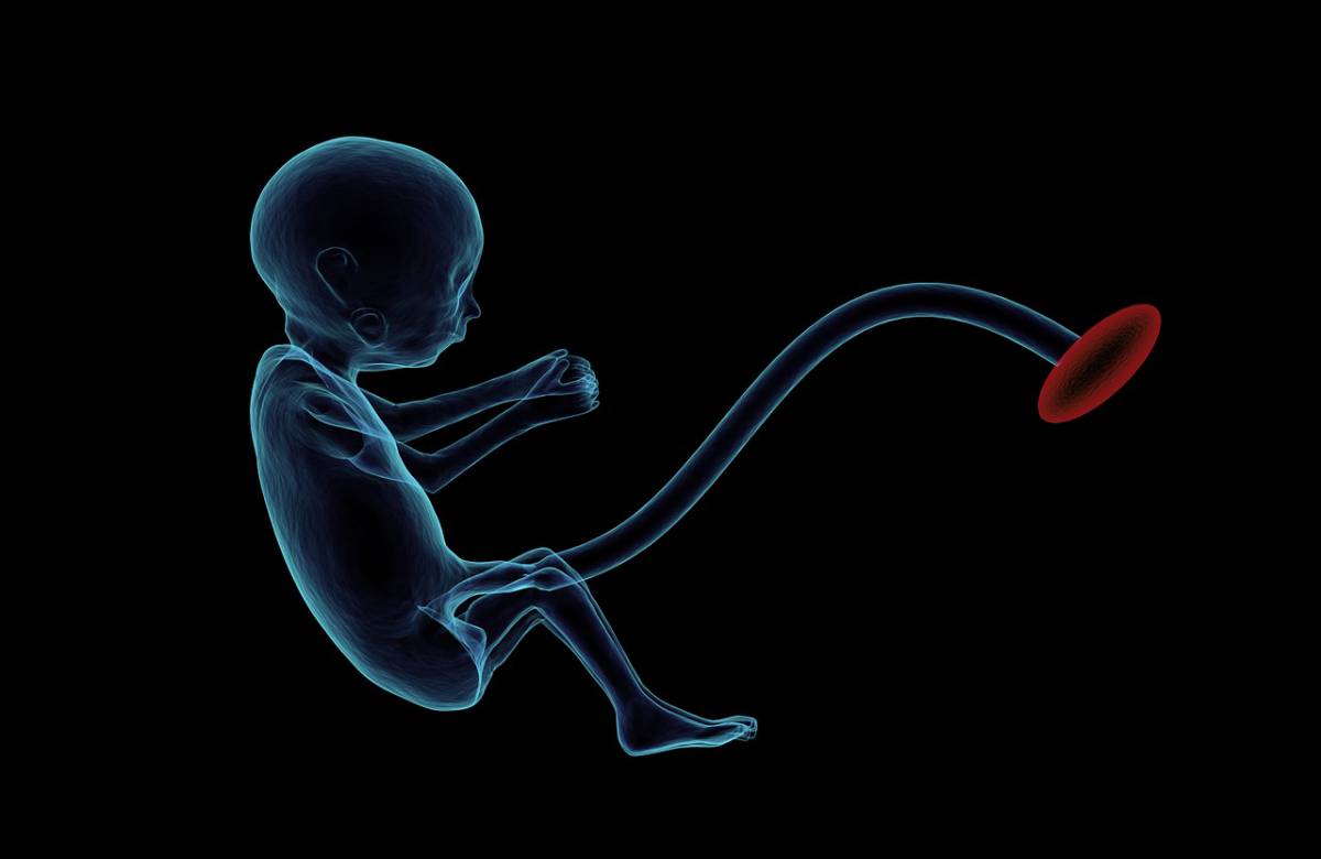 Una luce a infrarossi misura i livelli di ossigeno nella placenta article-post