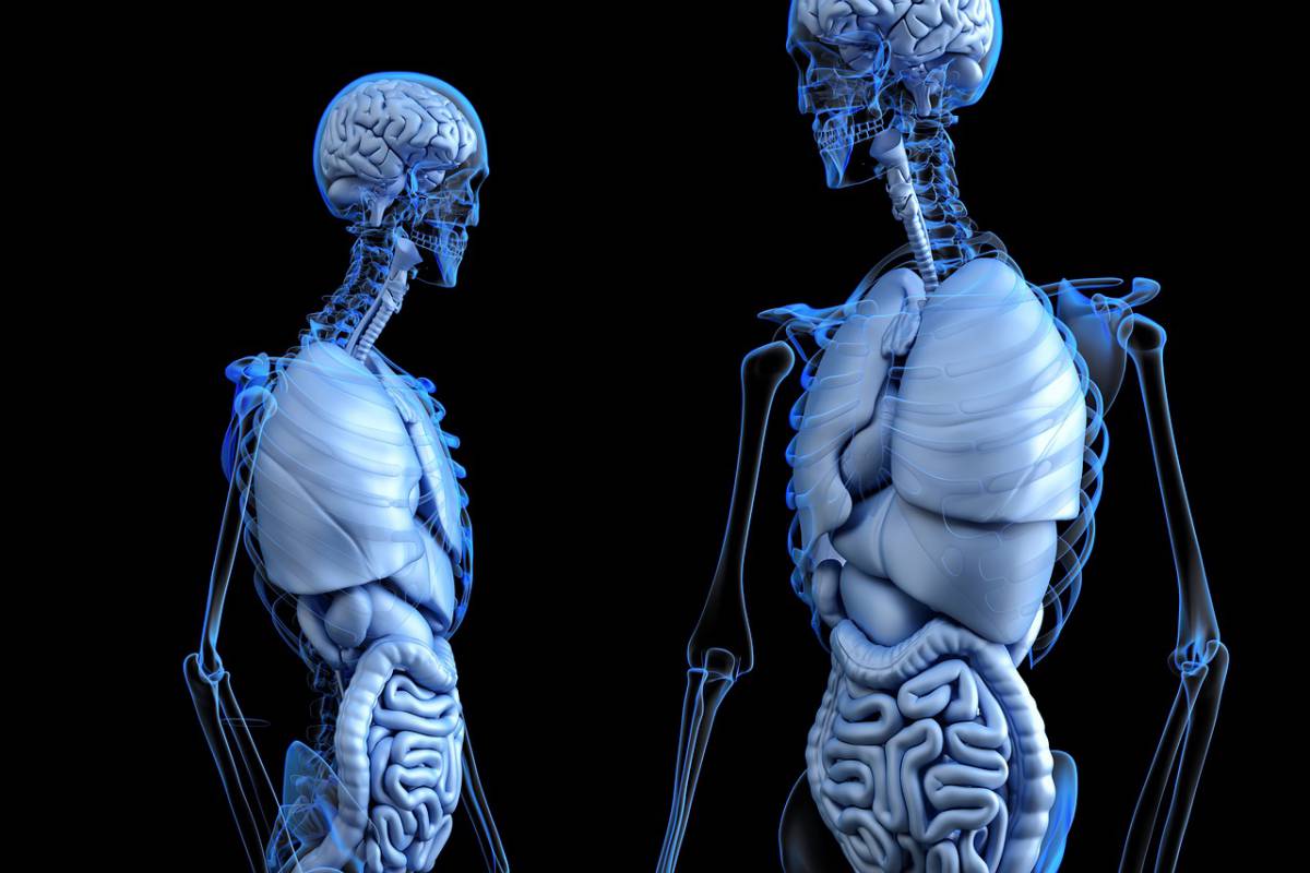 Un dispositivo guarisce le ossa dalle fratture e poi sparisce nel corpo senza lasciare traccia article-post