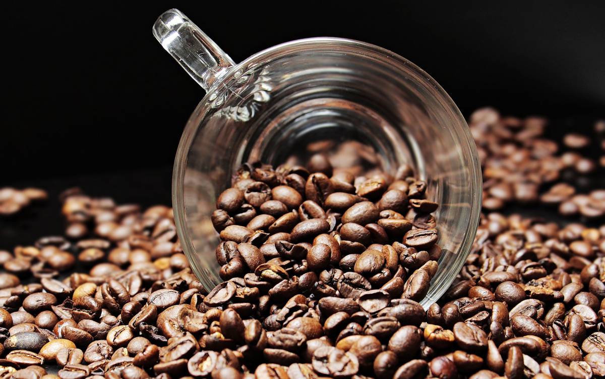 Studio: il caffè protegge contro il COVID-19 article-post