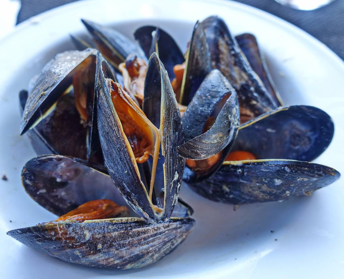 Cozze, allarme della Salute per livelli biotossine: “Non mangiatele neanche cotte” article-post