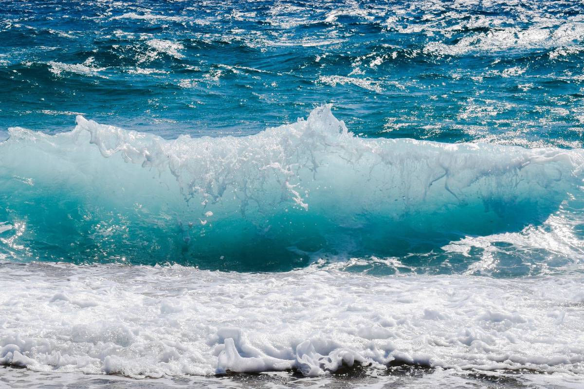 Muore per salvare i suoi bambini in mare, è successo a Ladispoli article-post