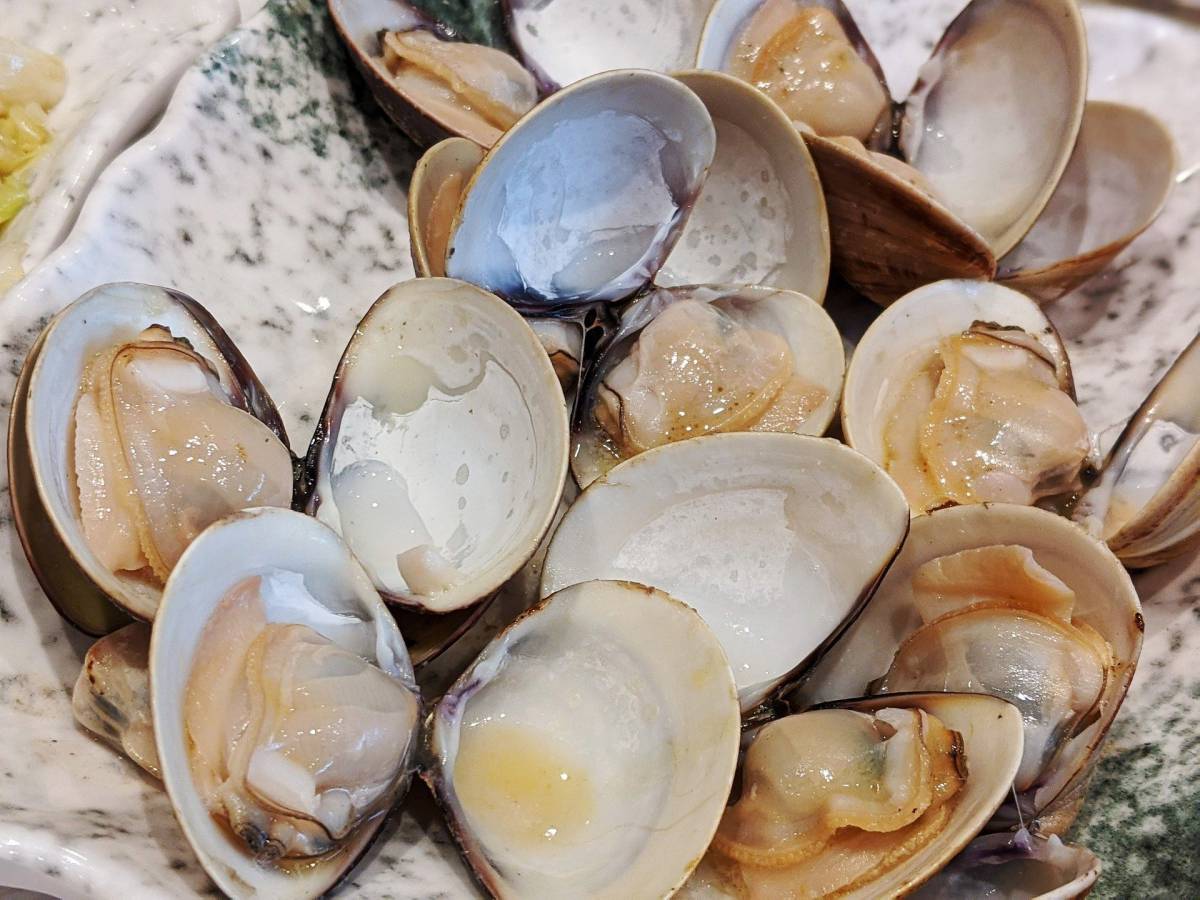 Allarme dal Ministero richiamate vongole: “Attenzione non mangiatele” article-post