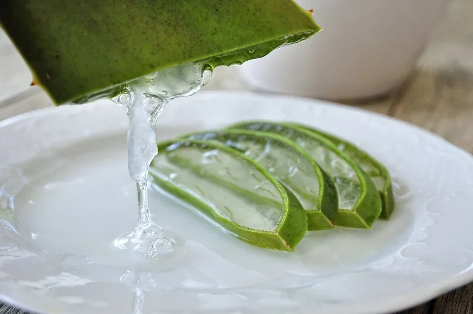 Aloe vera tutti i benefici: ecco a cosa serve article-post