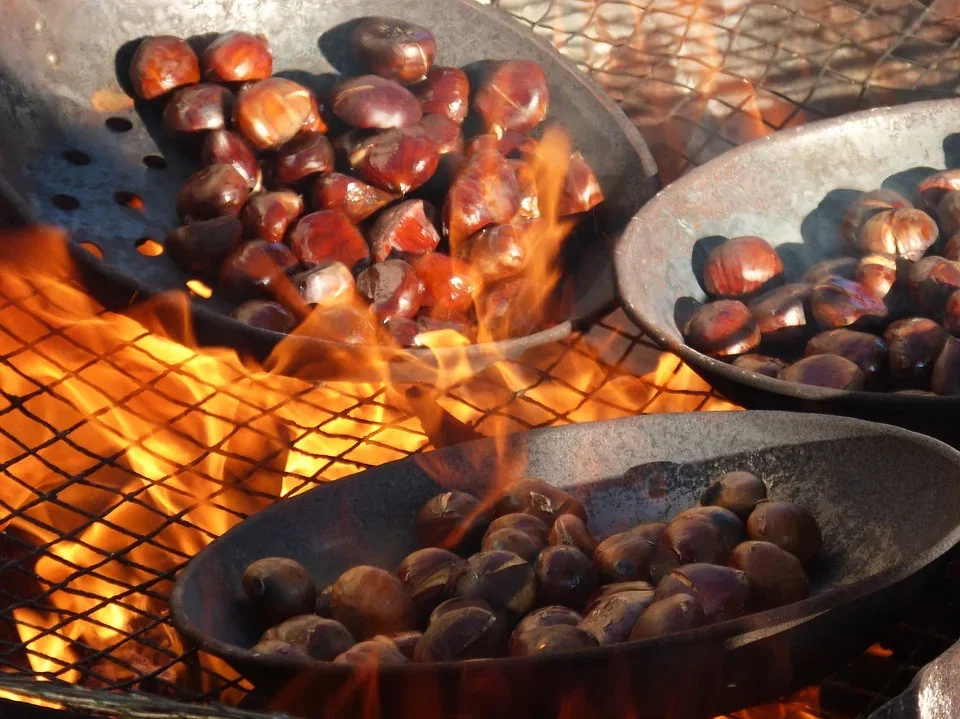 Le Castagne perchè vanno mangiate? article-post