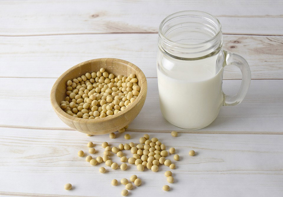 Plant based drinks quali e cosa sono le bevande vegetali article-post