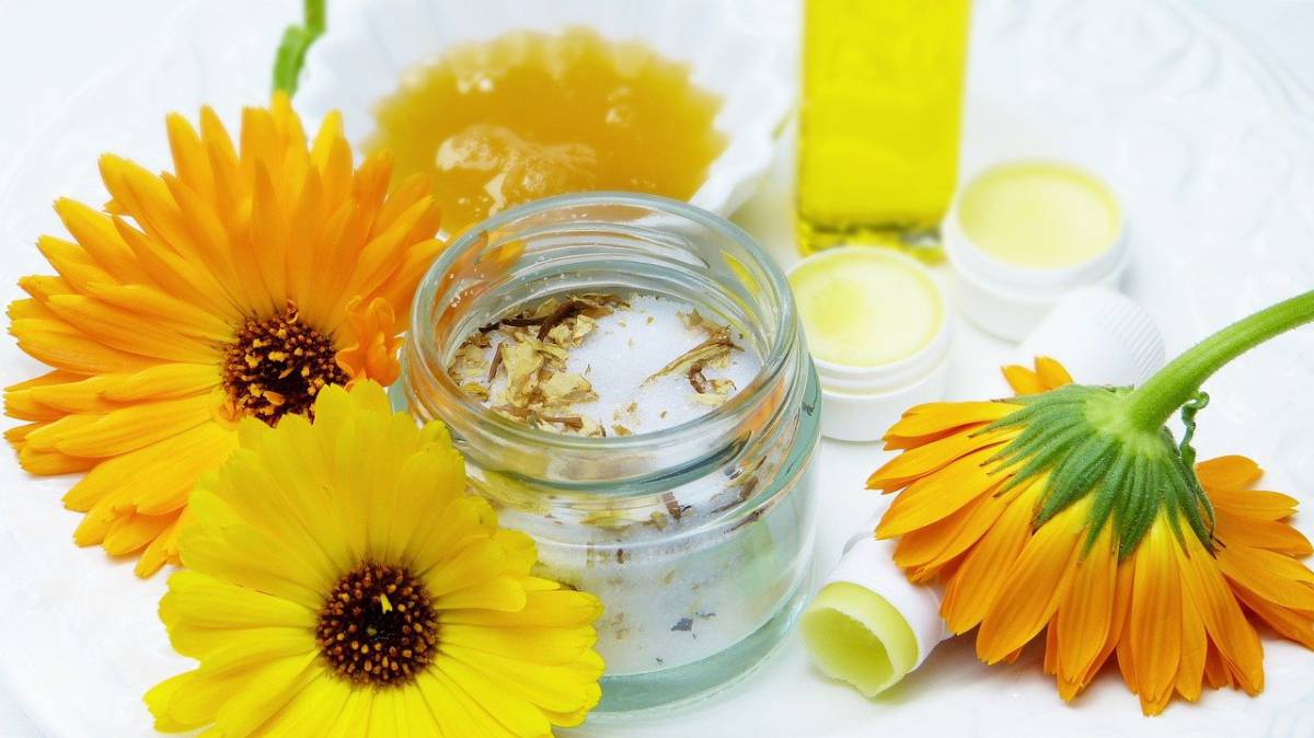 Capelli secchi e opachi: ecco come preparare un balsamo naturale article-post