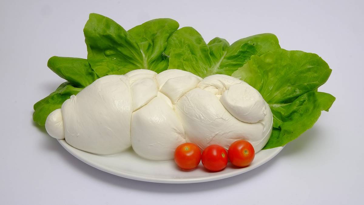 Mozzarella di bufala campana DOP: tutti i falsi miti sul famoso formaggio article-post