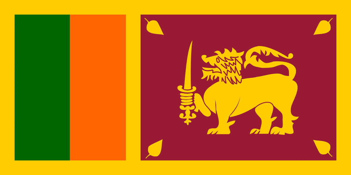 Sri Lanka: il paese è sempre più nel caos, chiesti 4 miliardi di dollari al FMI article-post
