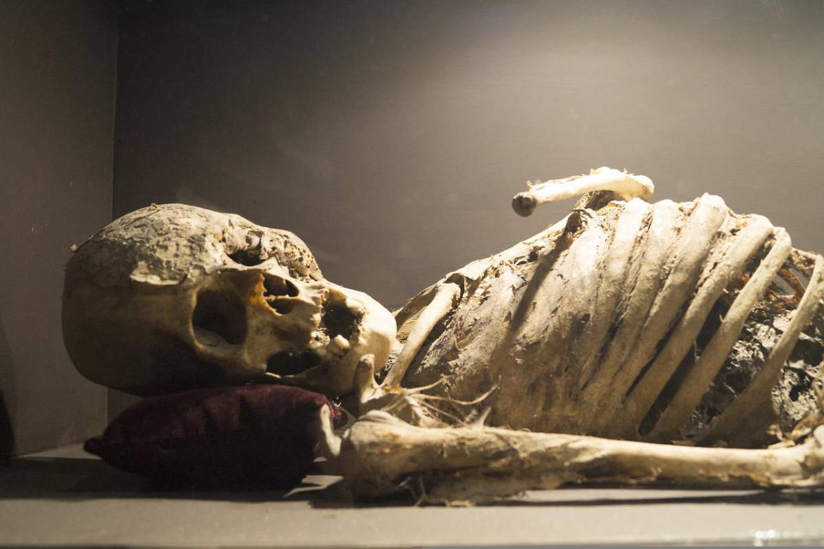 Trovato uomo mummificato. Era chiuso in mansarda da 7 mesi article-post