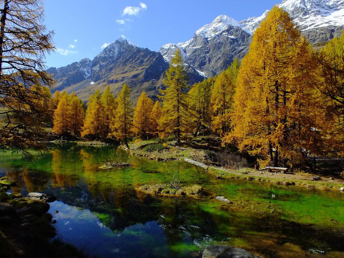 Aosta: trovata donna senza vita sull’argine della Dora Baltea article-post