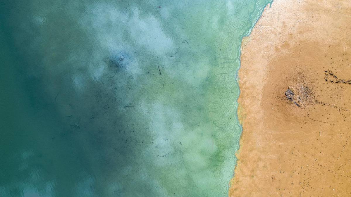 Un altro mistero nel mare di Latina: trovato un fegato umano che galleggiava, poi un rene article-post