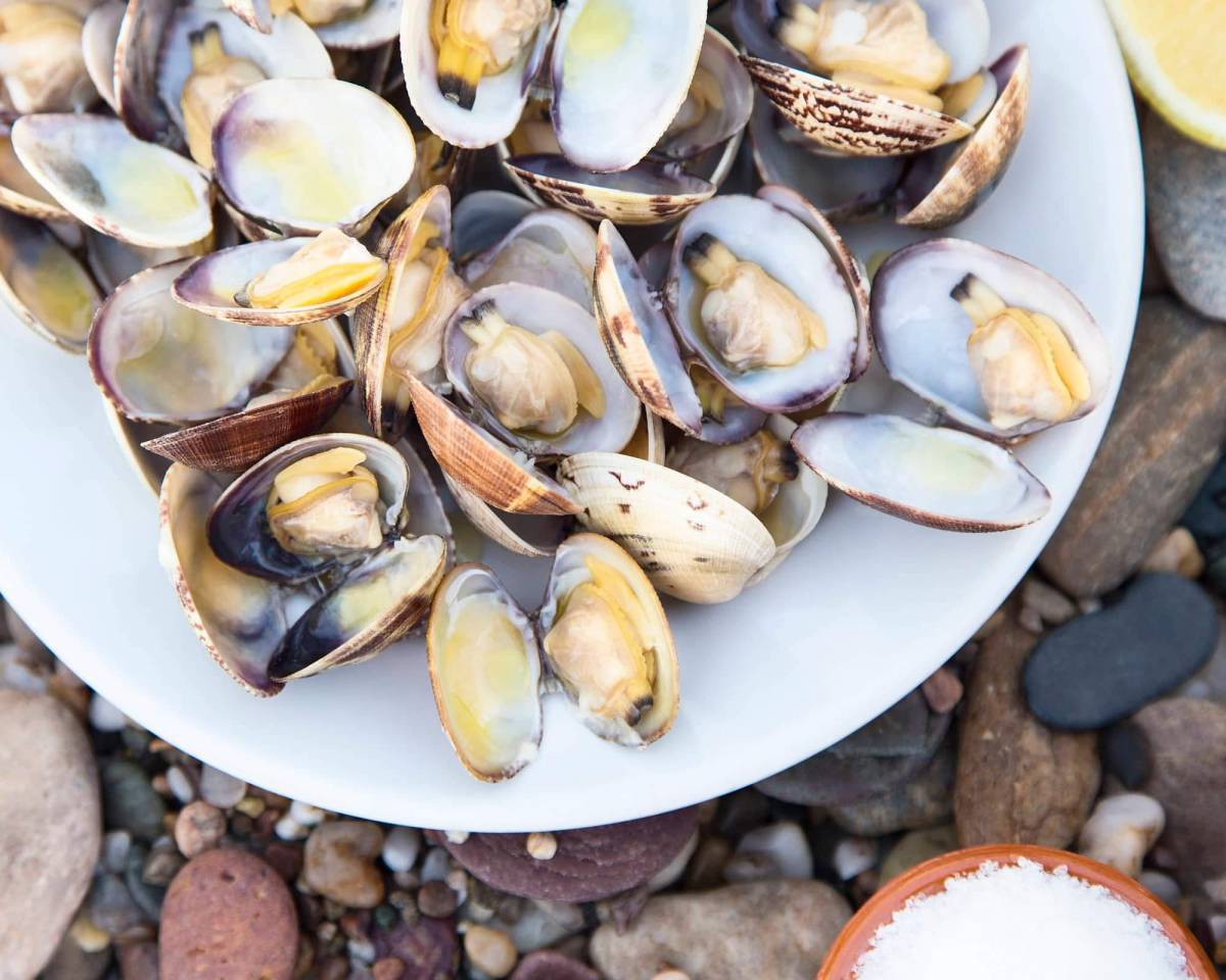 Vongole fresche, tre trucchi per capire se sono davvero fresche article-post