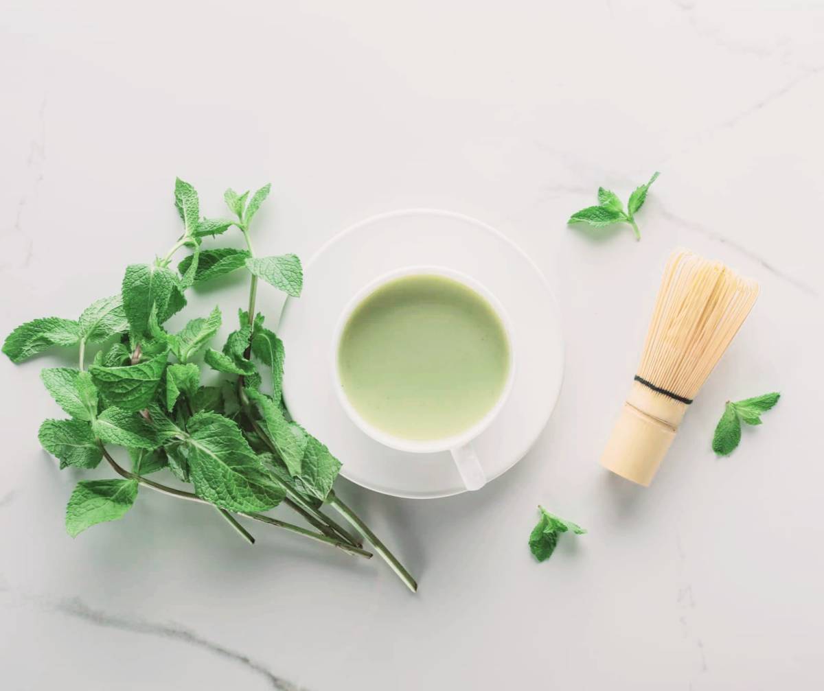 Pesto dolce alla menta, ecco la ricetta facilissima article-post