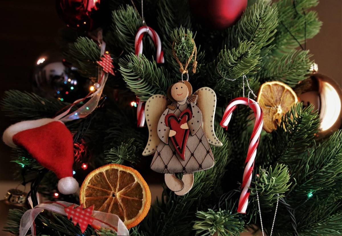 Natale 2022, come addobbare l’albero in sicurezza: i consigli di Altroconsumo article-post