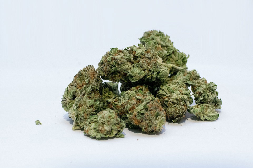 Civitanova Marche: 42 kg di marijuana in plichi da consegnare article-post