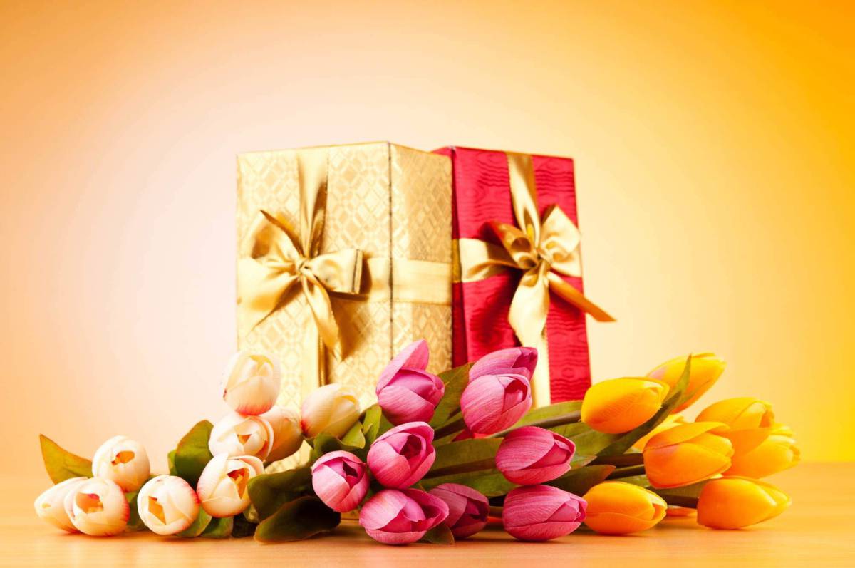 Le 4 piante portafortuna da regalare a Natale article-post