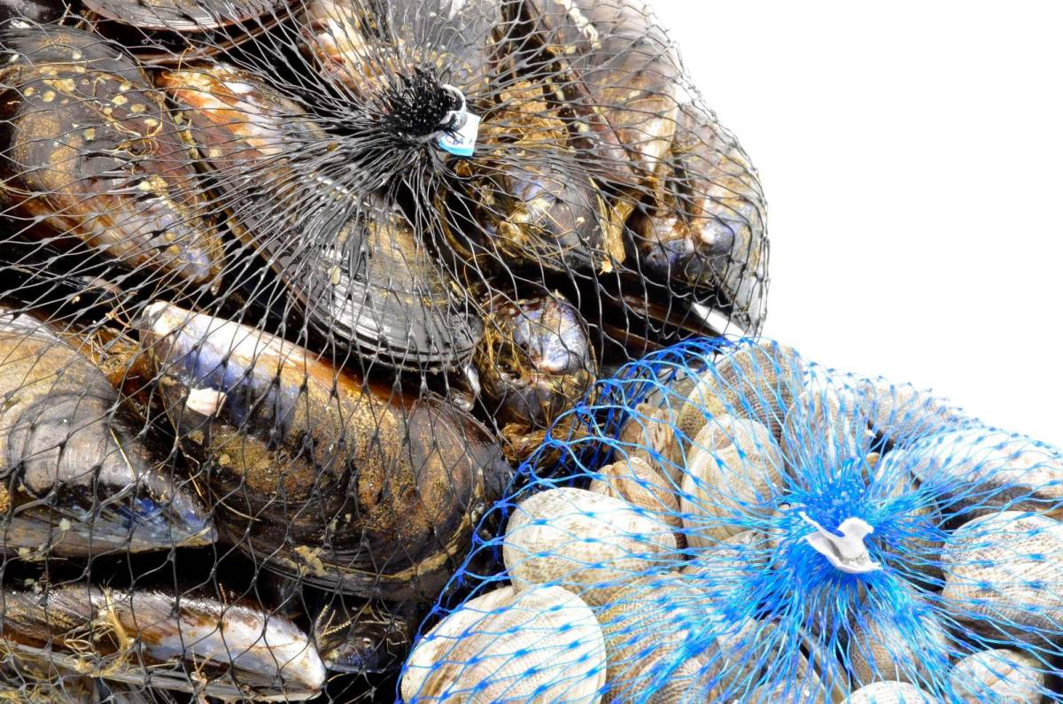 Attenzione, Cozze ritirate per superamento limiti microbiologici: Marchio e Lotto article-post