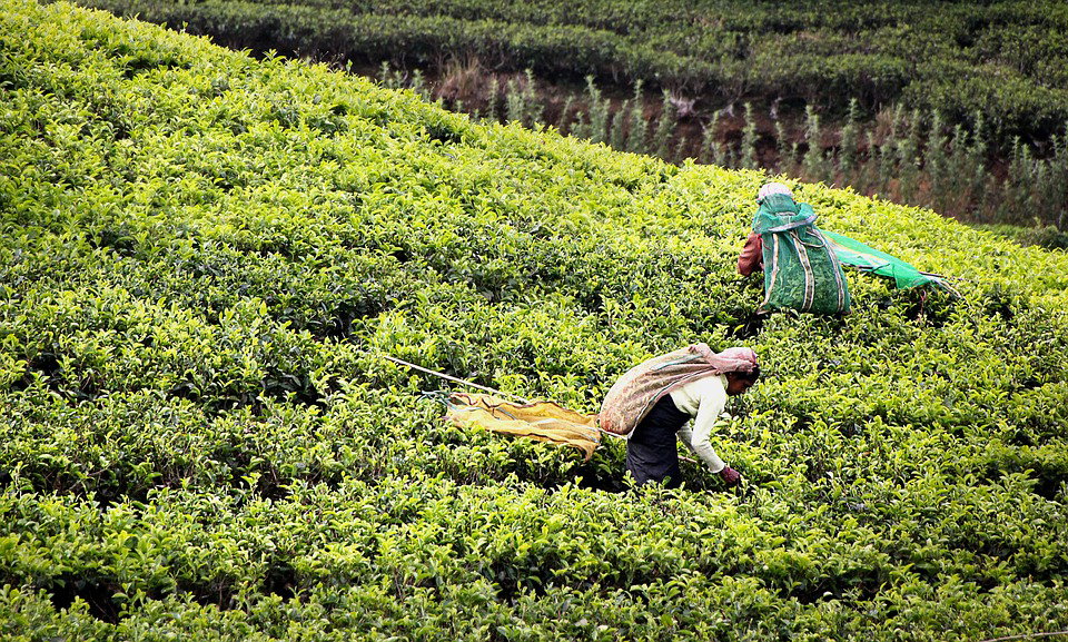 Scoperti 20 lavoratori in nero in Sicilia, alcuni percepivamo il reddito di cittadinanza article-post