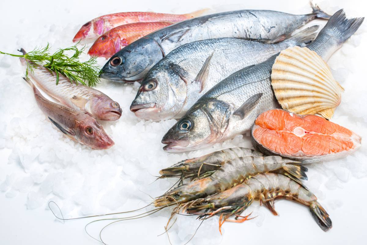 Pesce nel menù di Natale? Sì, ma surgelato article-post