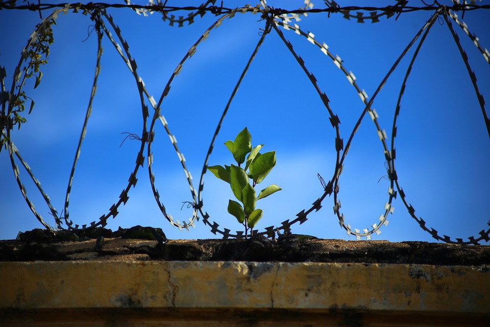Milano, catturati gli ultimi due ragazzi fuggiti dal carcere minorile Beccaria article-post