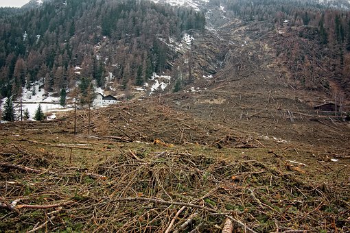 Ischia (NA). Individuati altri due corpi. Sono due uomini article-post