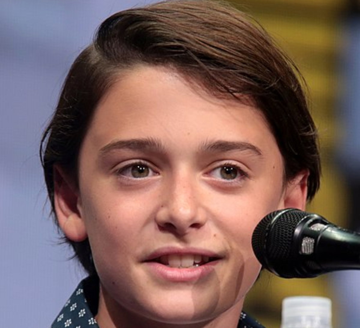 Finn Wolfhard sul coming out di Noah Schnapp article-post