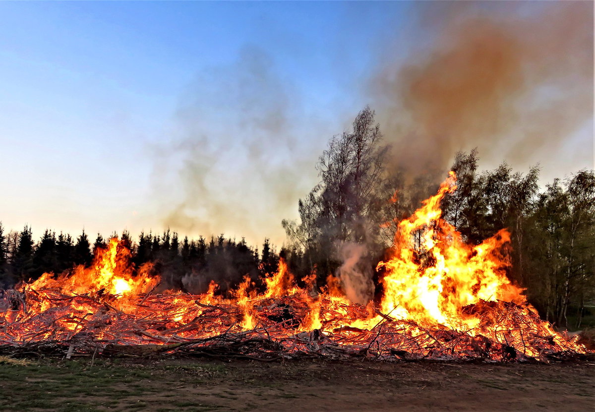 Ucciso e poi dato alle fiamme: arrestati 3 familiari article-post