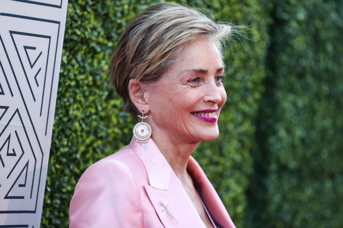 Sharon Stone ha perso metà dei suoi soldi article-post