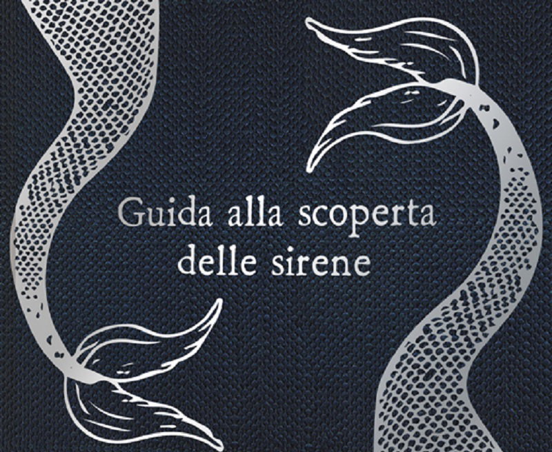 Una guida illustrata alla scoperta del mondo delle sirene article-post
