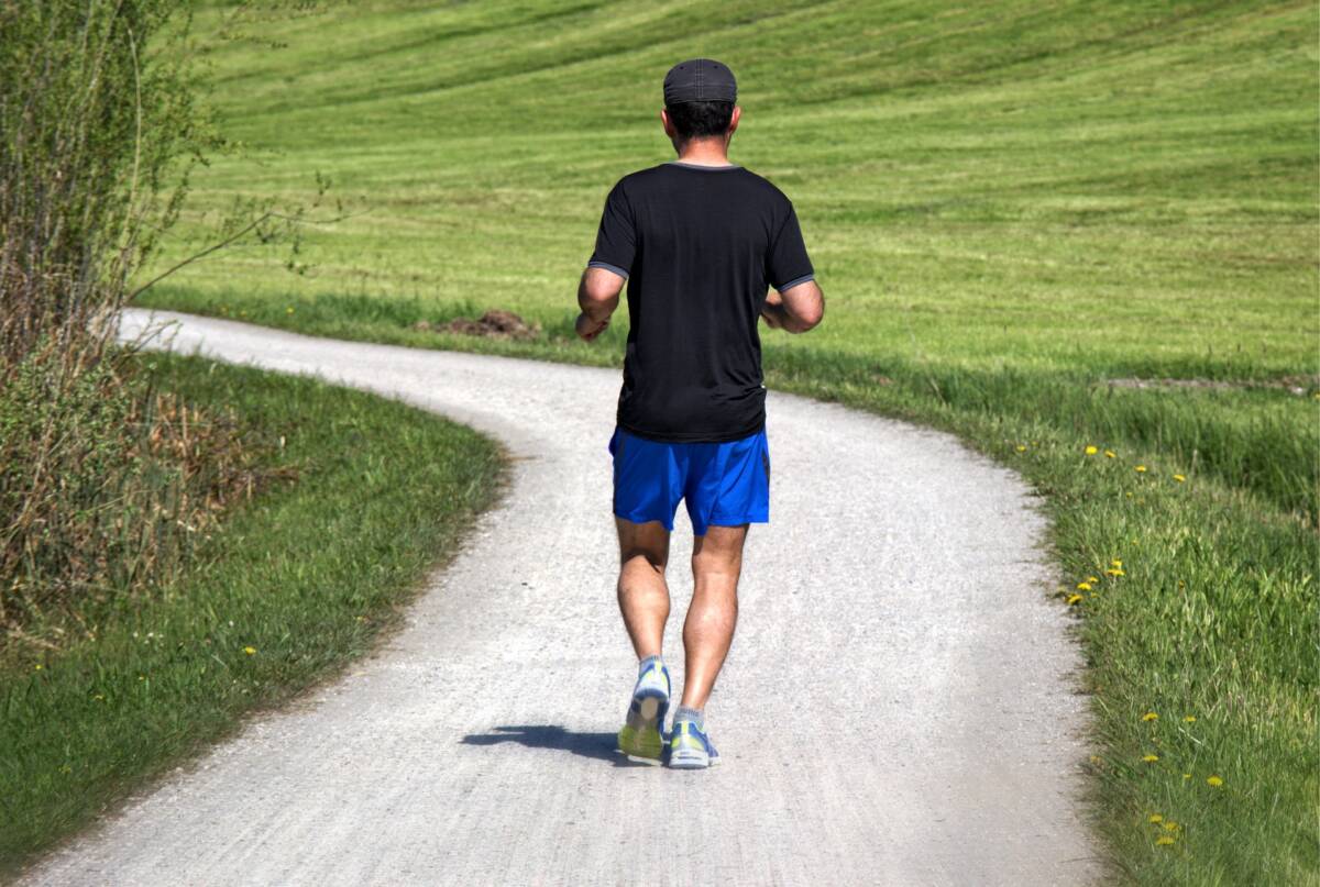 Runner ucciso dall’orso: mercoledì un lumino contro il progetto Life Ursus article-post