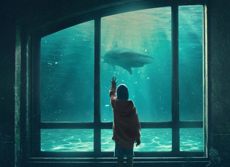 Denti da squalo, dall’8 giugno al cinema article-post