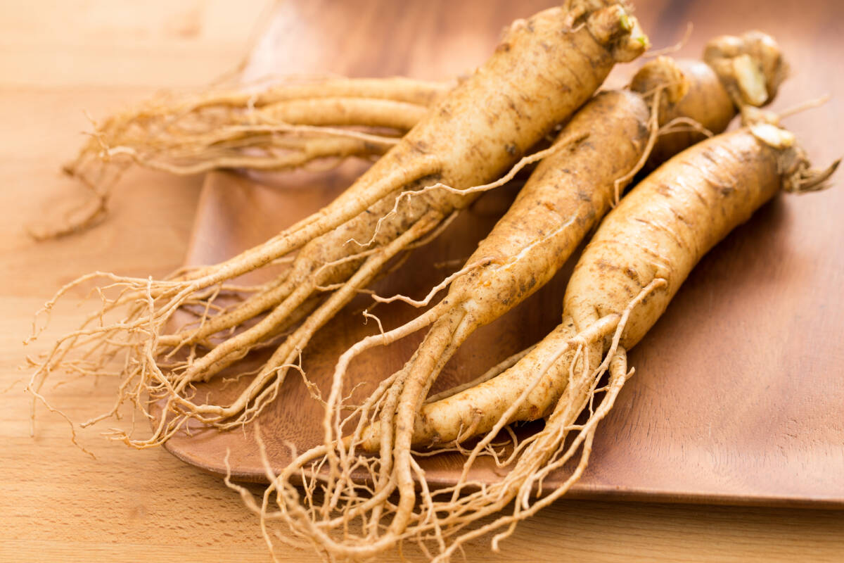 Ginseng: ll brucia grassi che sopprime l’appetito article-post