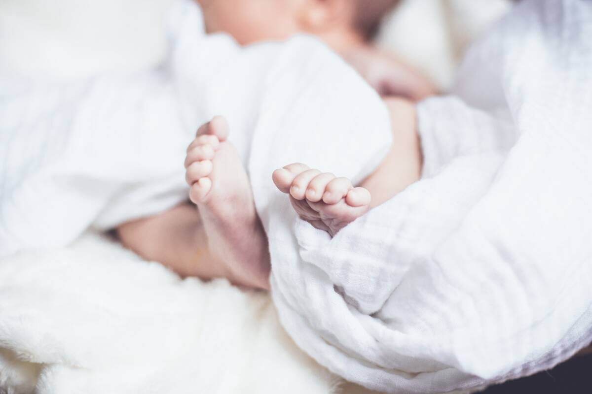 Neonata affidata alla Culla per la vita: 10 famiglie pronte ad adottarla article-post