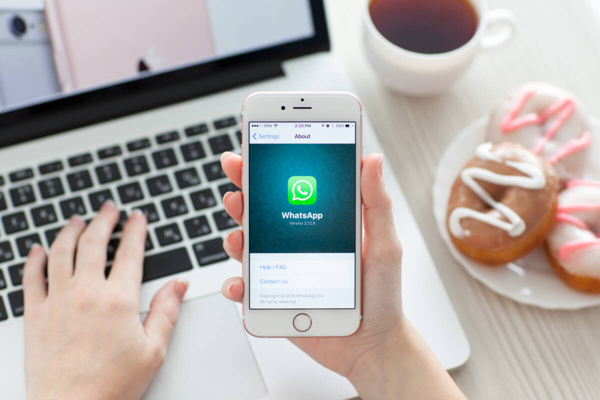 Codice registrazione e Crack iCareFone WhatsApp transfer article-post