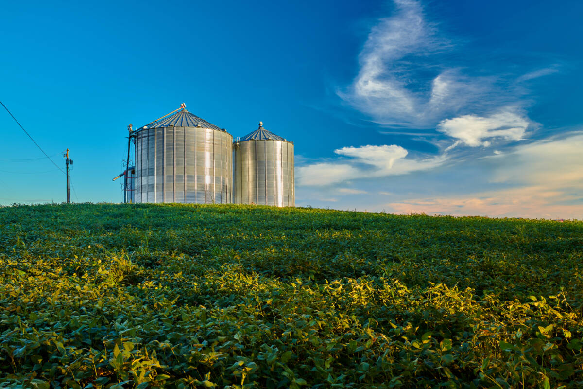 Agroalimentare: facciamo chiarezza sullo stoccaggio merci article-post