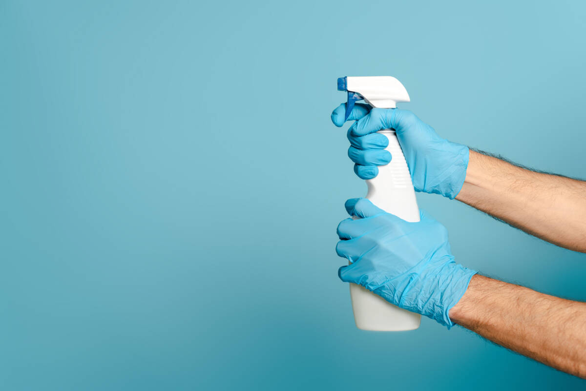 Addio scarafaggi con questo metodo efficace, bastano 2 ingredienti che hai in cucina article-post
