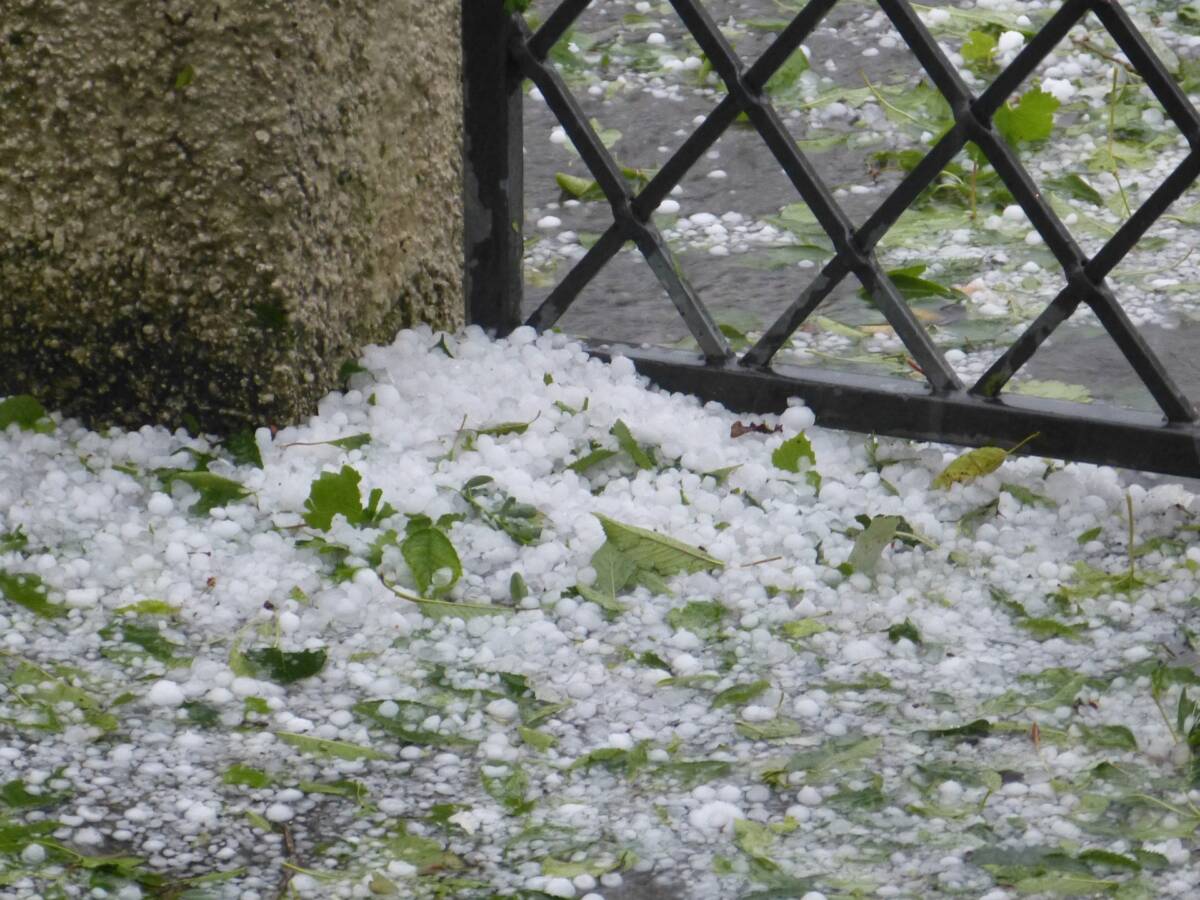 Milano, chicchi di grandine grossi come noci article-post