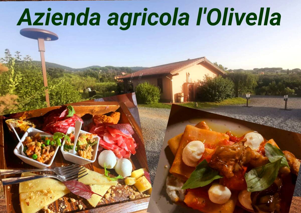 Azienda agricola l’Olivella: il nostro tour tra vino, arte e cibo article-post