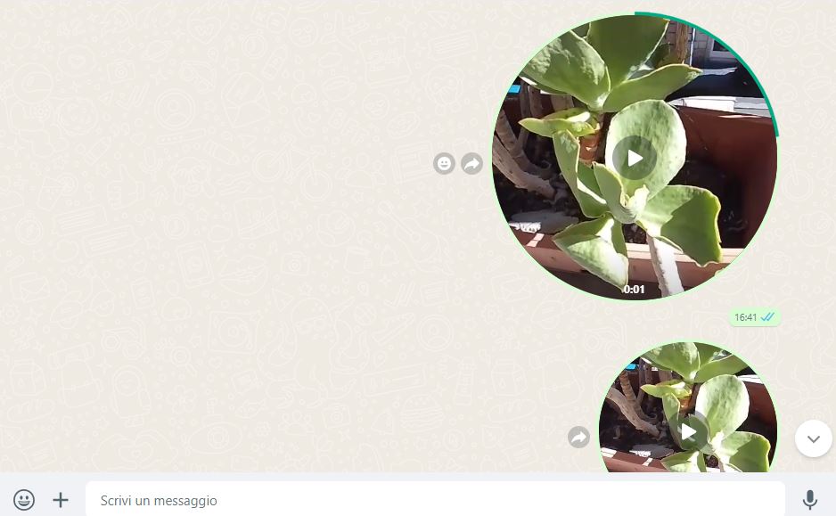 Whatsapp, trucco straordinario per inviare brevi video: la guida completa article-post