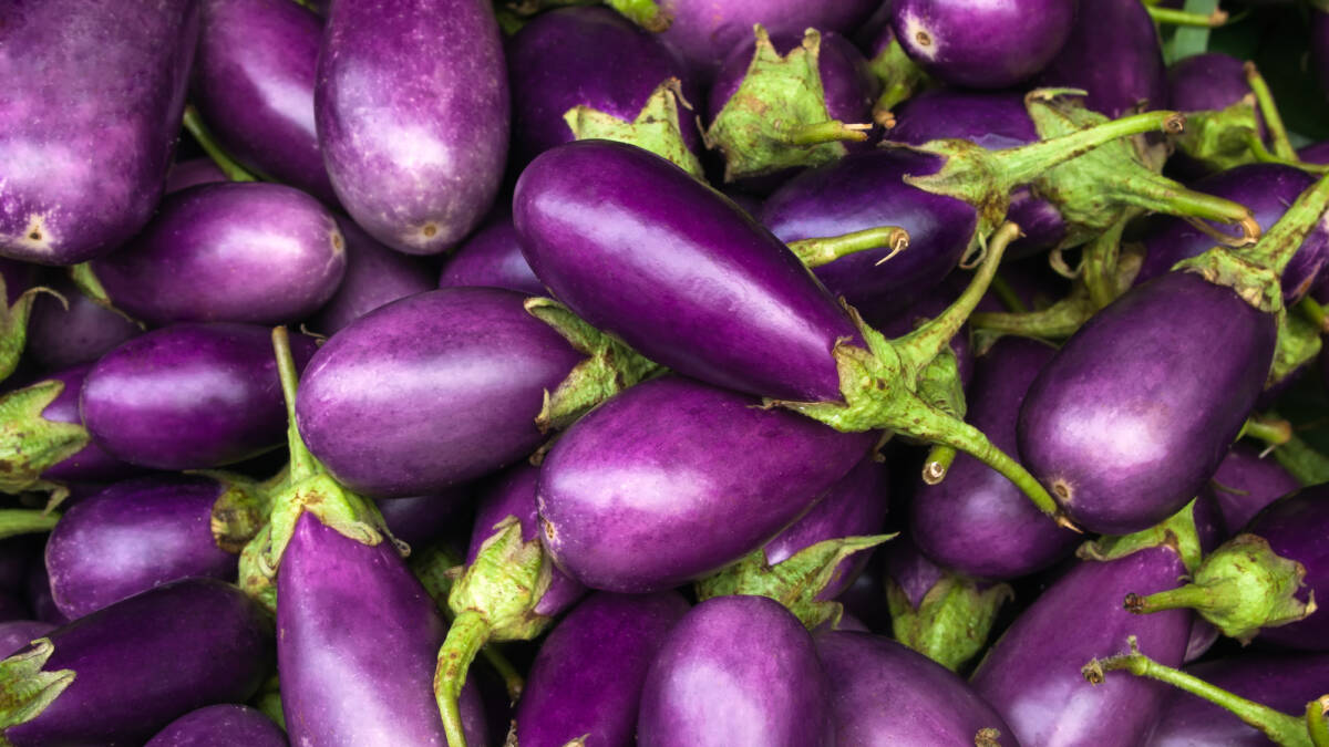 Melanzane, cinque errori da non fare in cucina con questa verdura article-post