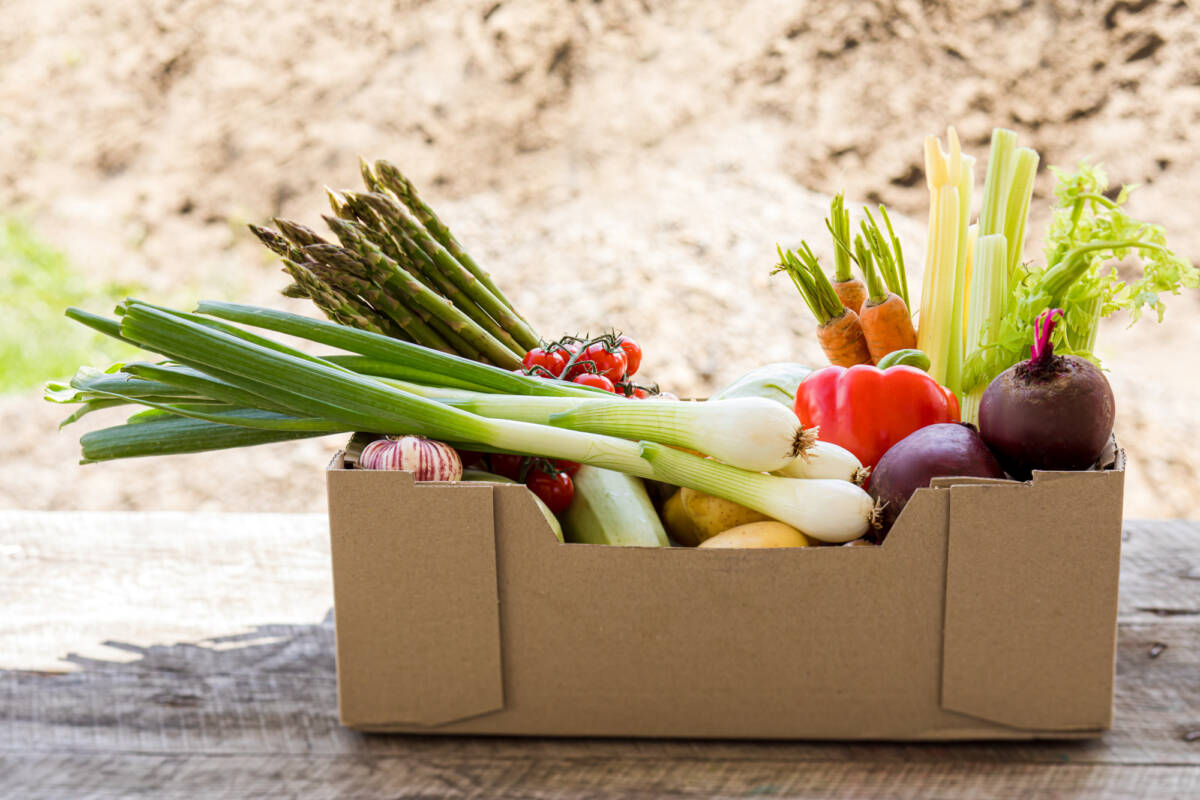 Reddito alimentare 2023: cos’è, quali città hanno aderito? article-post