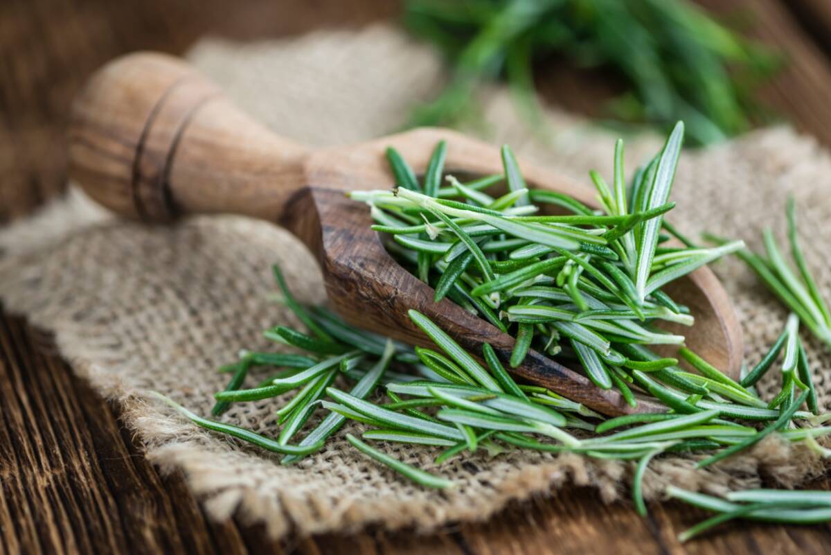 Rosmarino nel forno a cosa serve? Un trucco facile da fare, che in pochi conoscono article-post