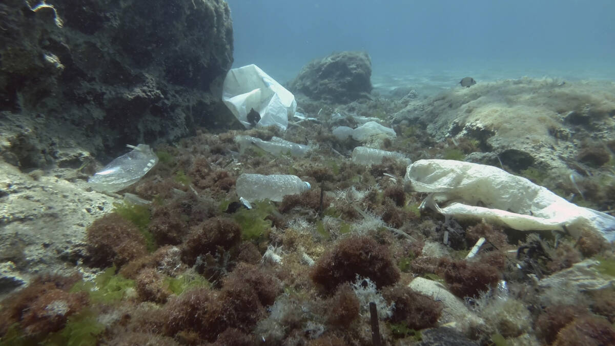 La plastica è maggiore nei fondali marini: a rischio la barriera corallina article-post